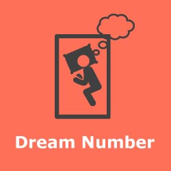 Dream Numbers